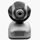 IP Cameras